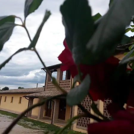 Il Casale Giallo アパート *